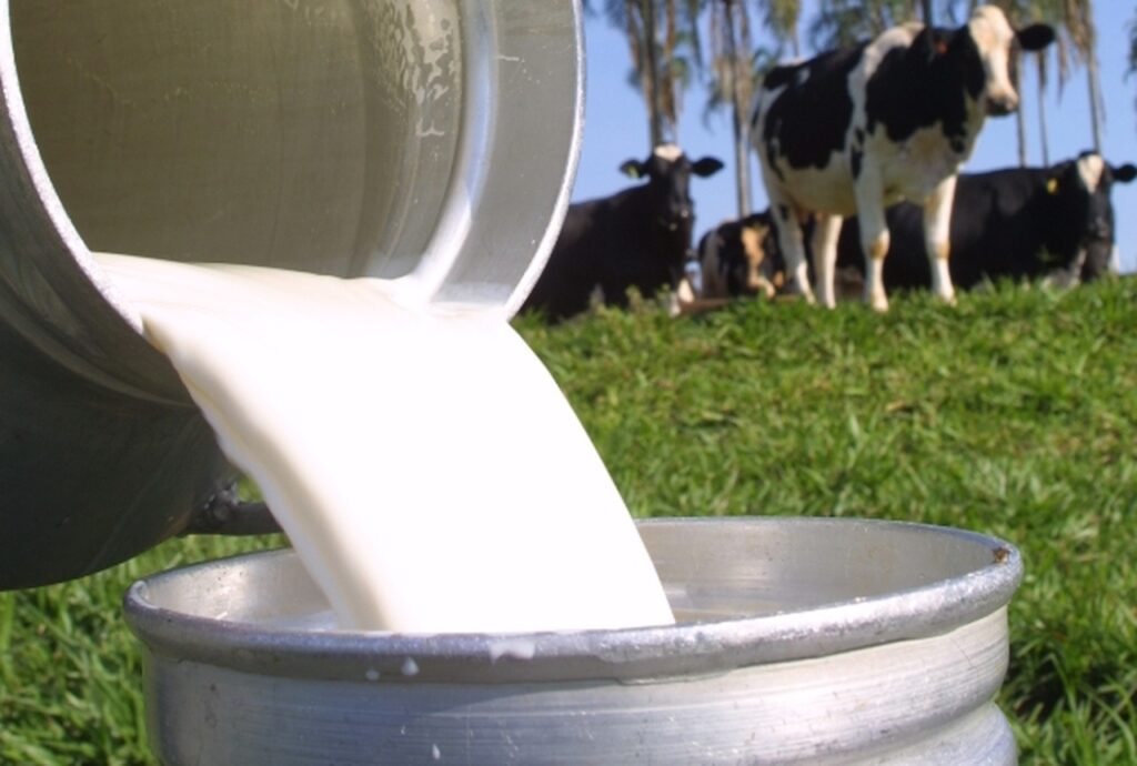  leite, Região Sul, produção, Top 100 2023, destaque, rural, mercado, pecuária, Brasil, setor.