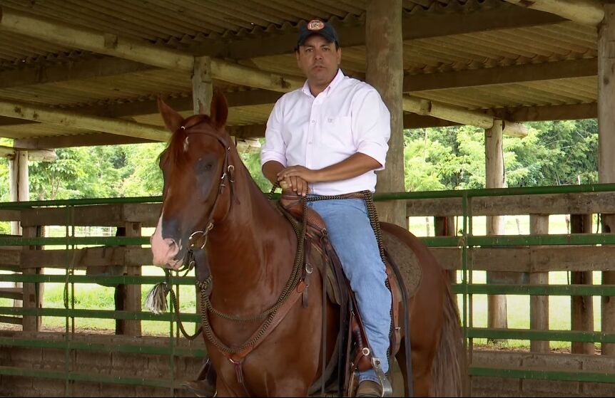 Como treinar seu cavalo em espaços apertados?