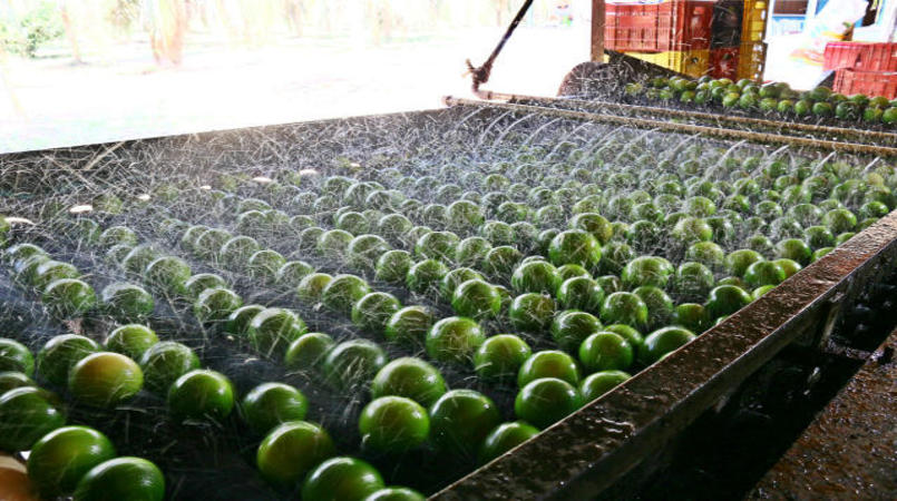 Volume e receita obtidos com exportacoes de suco de laranja