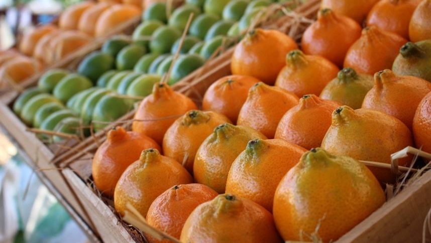 abril se encerra com mercado lento 2