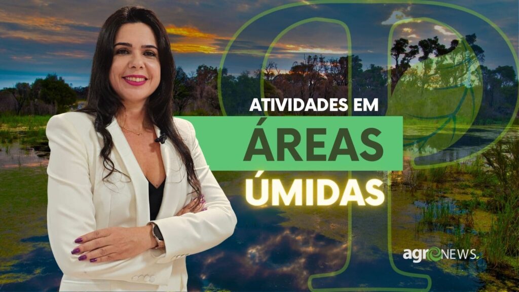 acp impede atividades e empreendimentos em areas umidas de mt 1