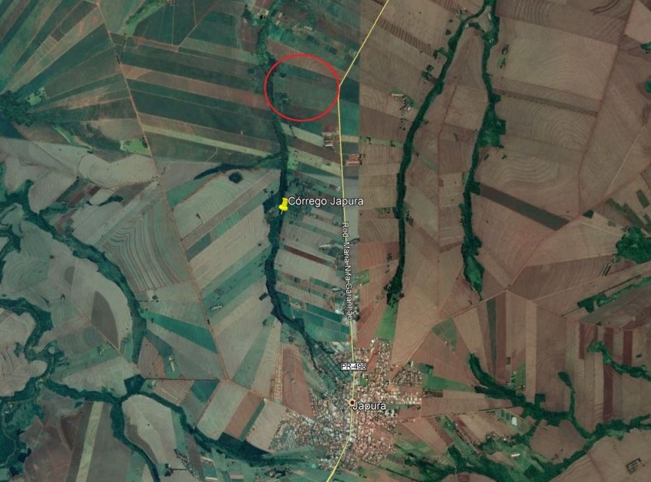 gestor ambiental, meio ambiente, áreas de atuação, sustentabilidade, gestão ambiental.