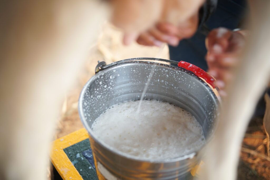 Alta de 5% no preço do leite captado em janeiro 2 alta de 5 no preco do leite captado em janeiro 1