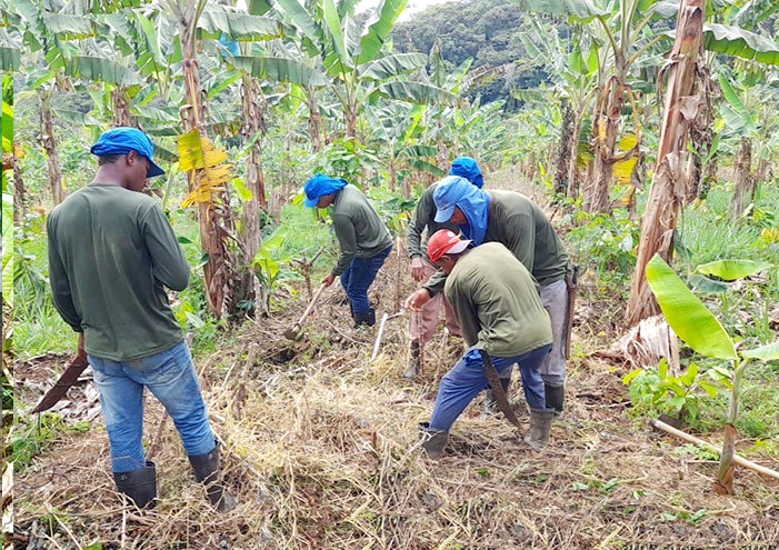 biomas do brasil investimento beneficia negocios