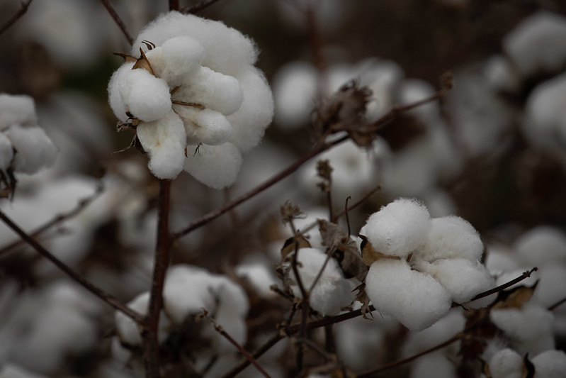 boletim de inteligencia de mercado abrapa com as principais noticias do