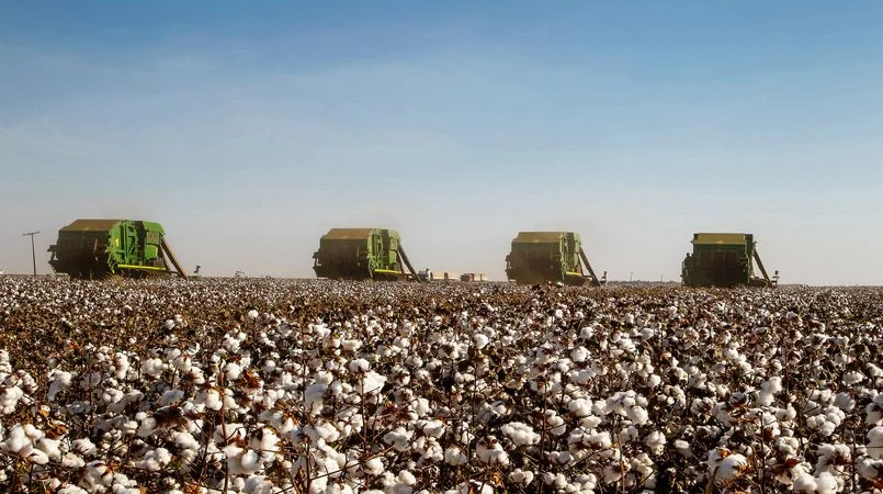 Demanda cresce e eleva cotações do algodão 1 brasil deve ultrapassar 3 milhoes de t de algodao na safra 2022 23 3