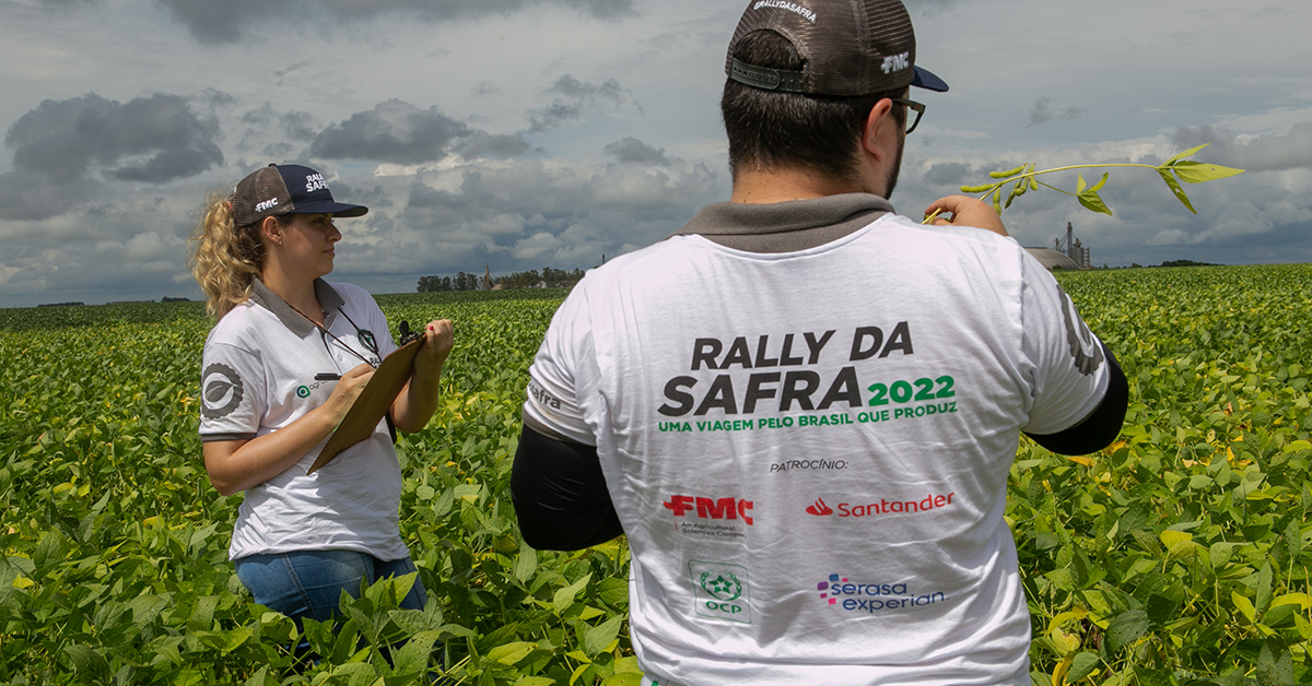 brasil devera colher safra de 155 milhoes de t preve rally da safra portal dbo