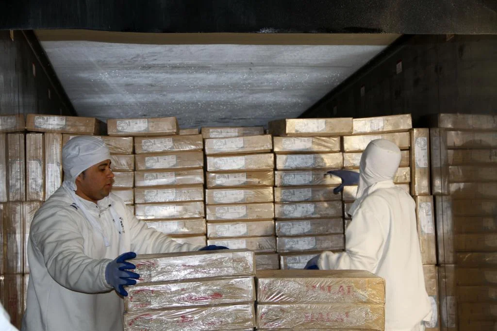 Brasil poderá exportar carne bovina para o México 2 carne bovina