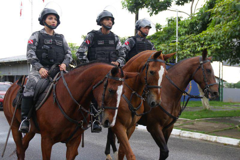 cavalos em operacoes policiais lei busca protecao animal