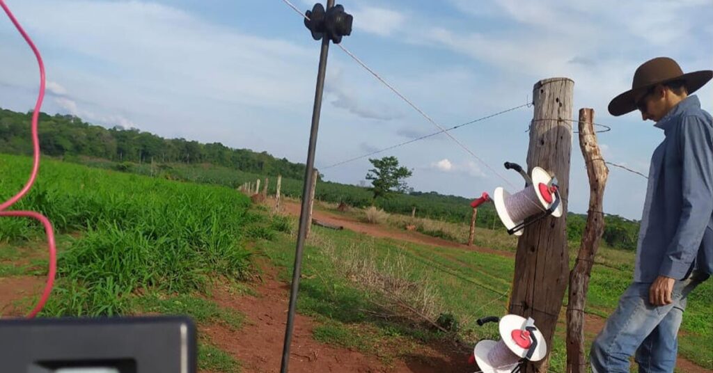 cerca com parametros tecnicos evita acidentes e fuga de animais portal dbo