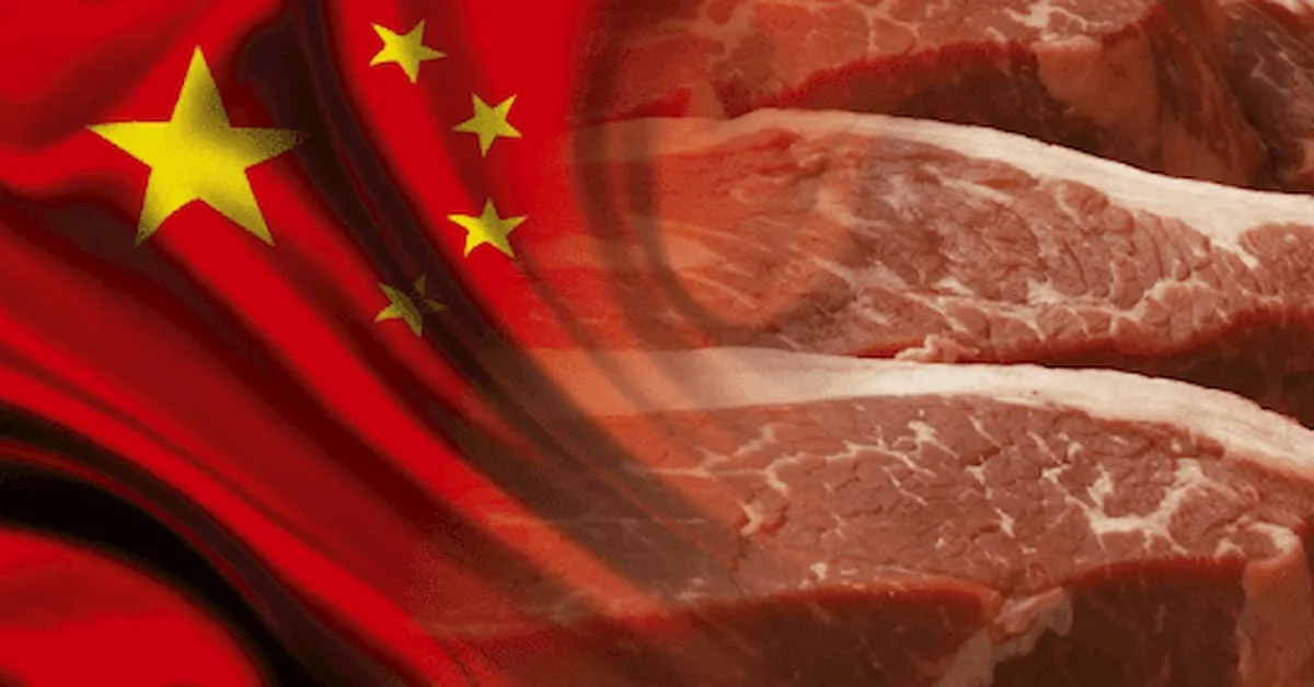 china autoriza importacoes de carne brasileira setor comemora 1
