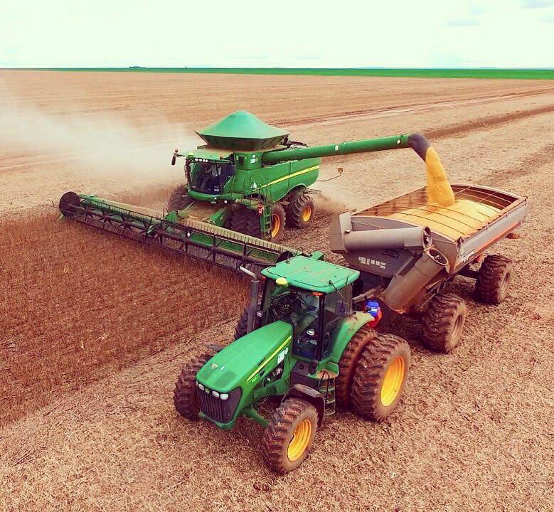 colheita de soja 2022 23 alcanca 53 das areas no brasil diz patria