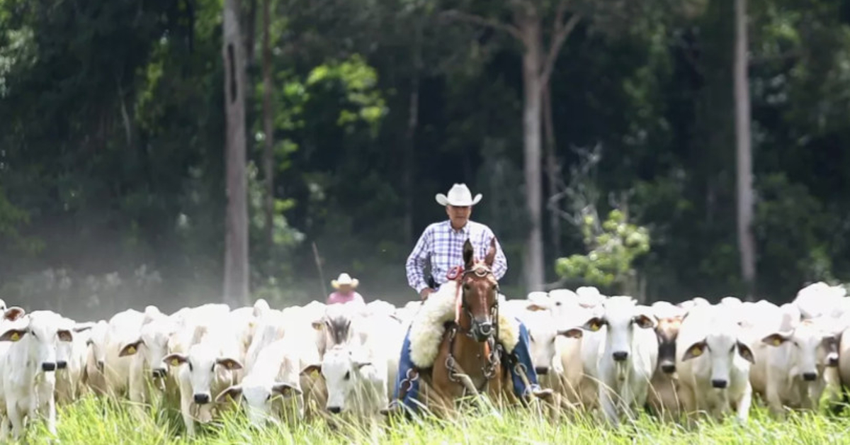 Como o pecuarista pode evitar ser um formador de preço ao enfrentar grandes desafios?