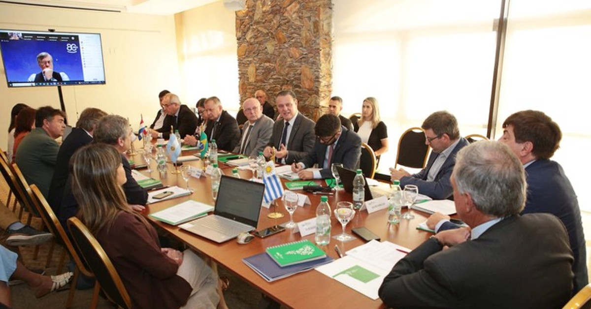 Conselho Agropecuário do Sul debate cooperação entre países • Portal DBO