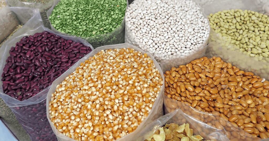 Conselho de Administração elege nova diretoria executiva para a Conab • Portal DBO 2 conselho de administracao elege nova diretoria executiva para a conab portal dbo