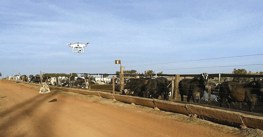 Delegação canadense visita Embrapa em busca de pecuária de precisão • Portal DBO 2 delegacao canadense visita embrapa em busca de pecuaria de precisao portal dbo