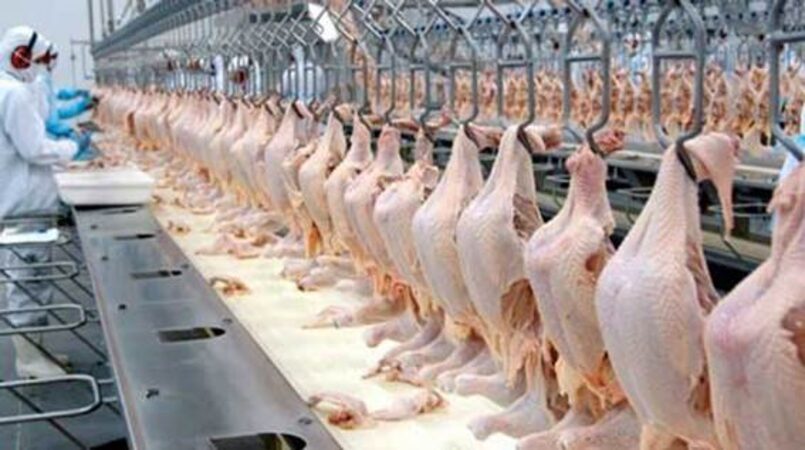 demanda por carne de frango se aquece e valores reagem em fevereiro 3