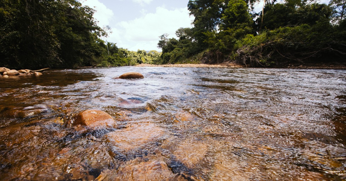 desmatamento do cerrado no matopiba coloca em risco oferta de agua diz ipam portal dbo