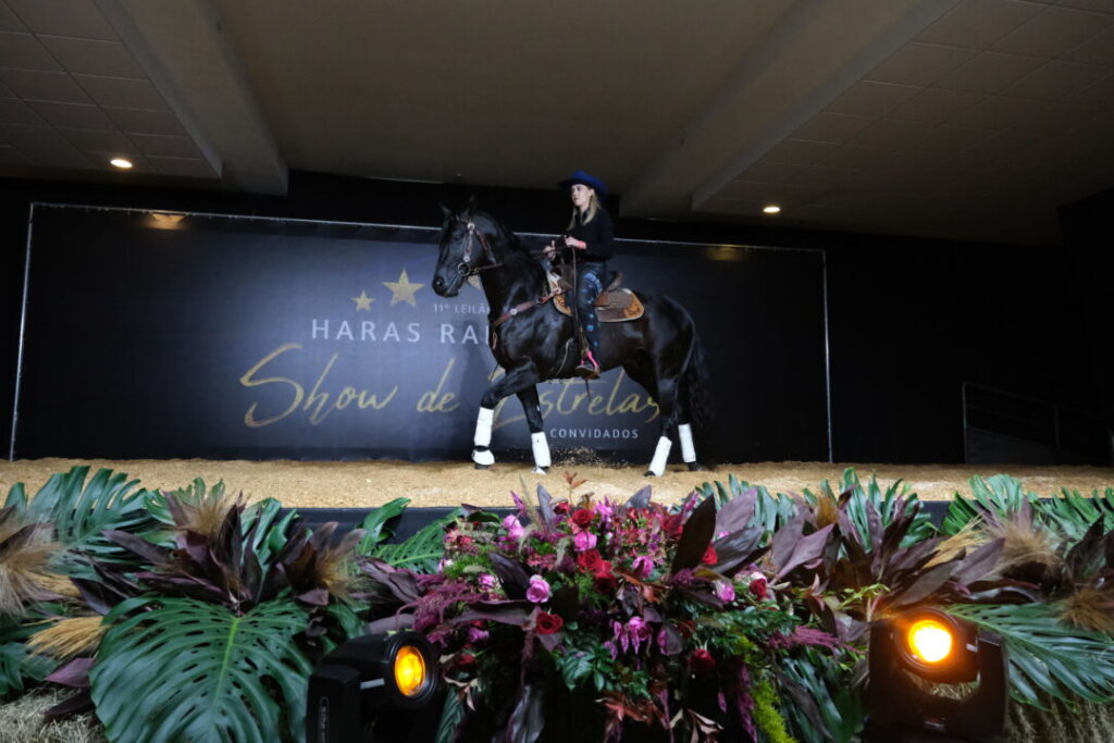 Disputas lote a lote marcam o 11º Leilão Show de Estrelas do Haras Raphaela
