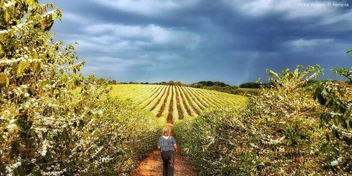 em todas as pontas da cadeia brasil tem pelo menos 30 mil mulheres a frente