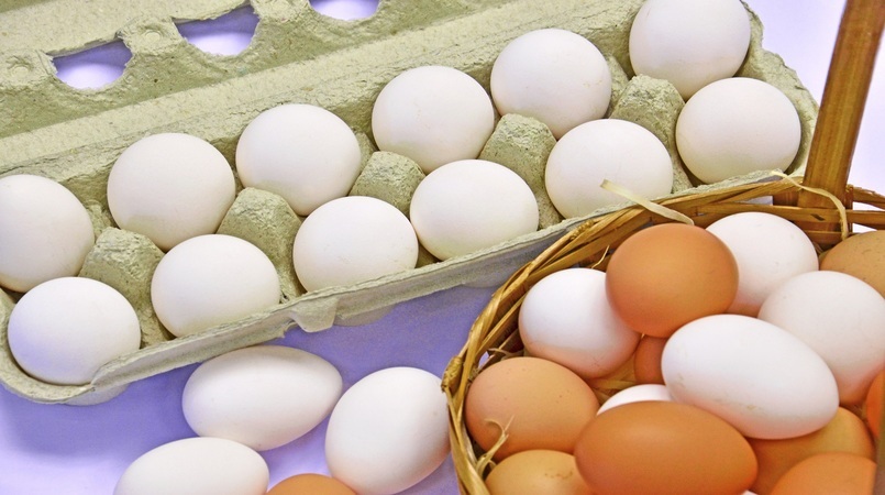 em um ano volume exportado de ovos cai pela metade diz cepea