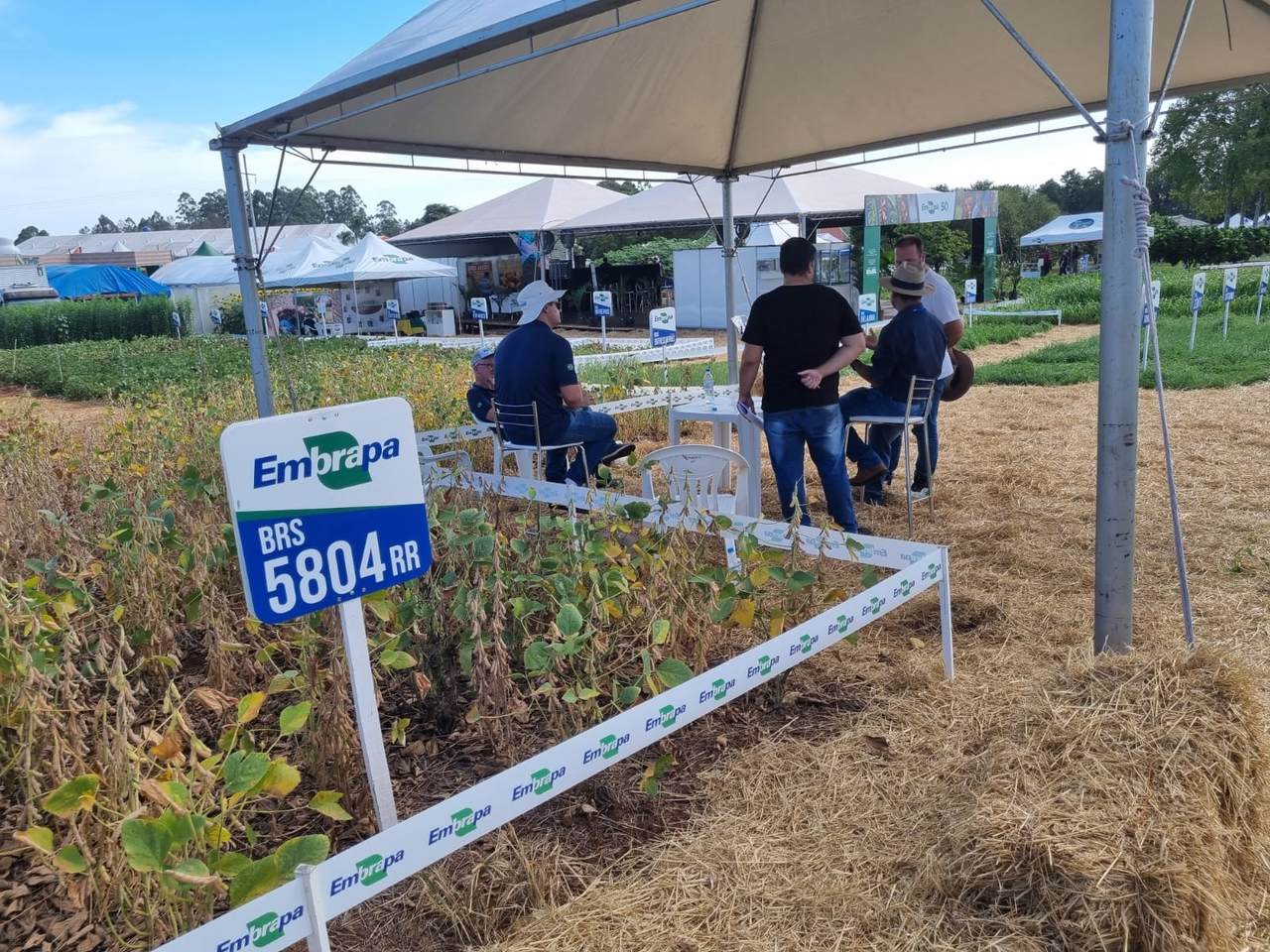 Embrapa apresenta novidades para a agricultura familiar