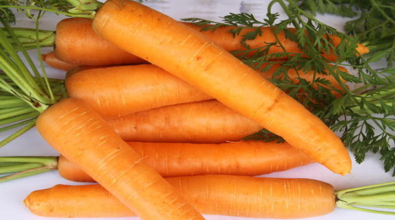 embrapa desenvolve cenoura hibrida para o verao 1