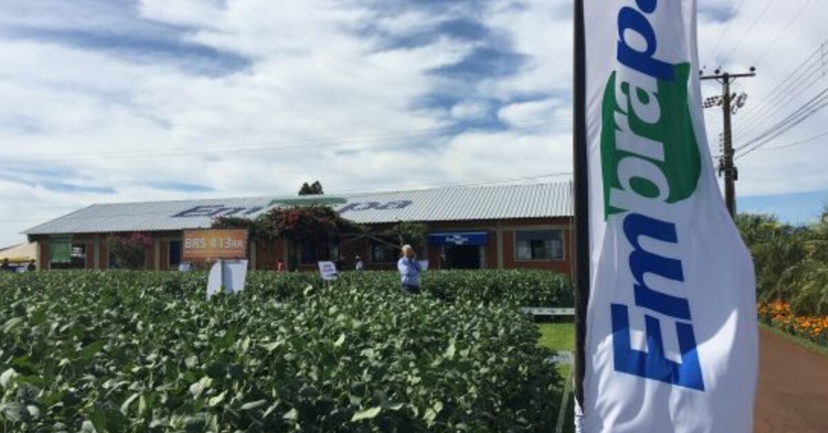 embrapa pecuaria sul apresenta tecnologias para melhorar a produtividade na expodireto portal dbo