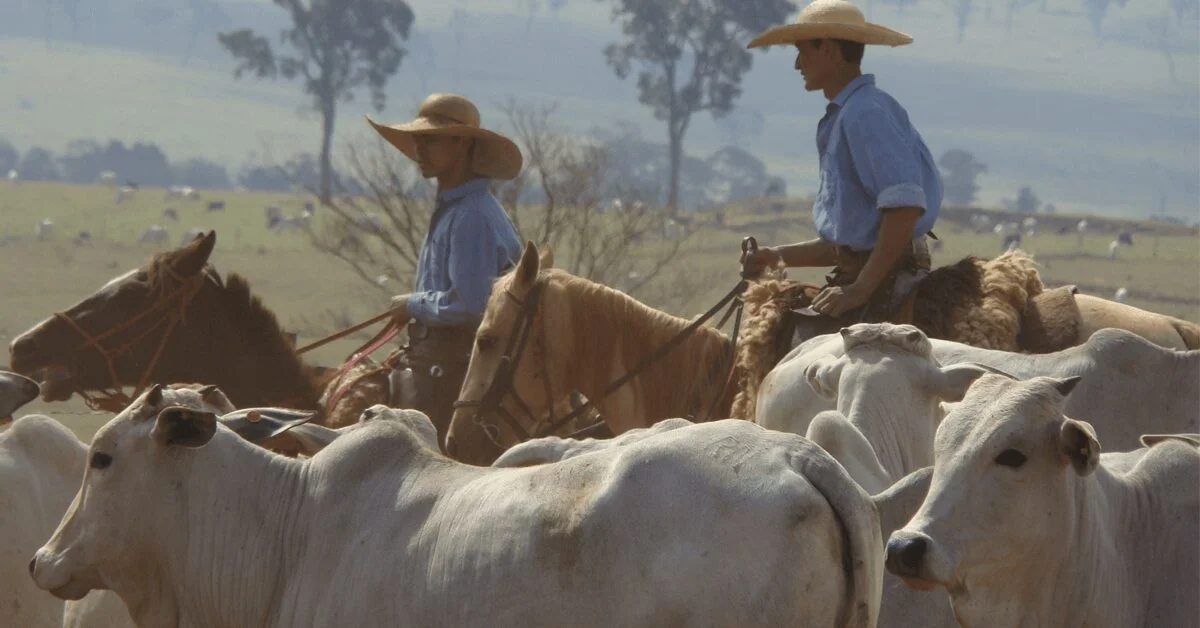 empregos na agropecuaria de mato grosso do sul crescem 63 em um ano portal dbo 3