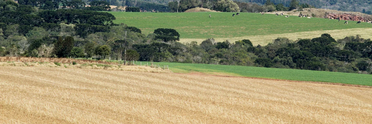 faep repudia fala de presidente da apex brasil contra o agro 1