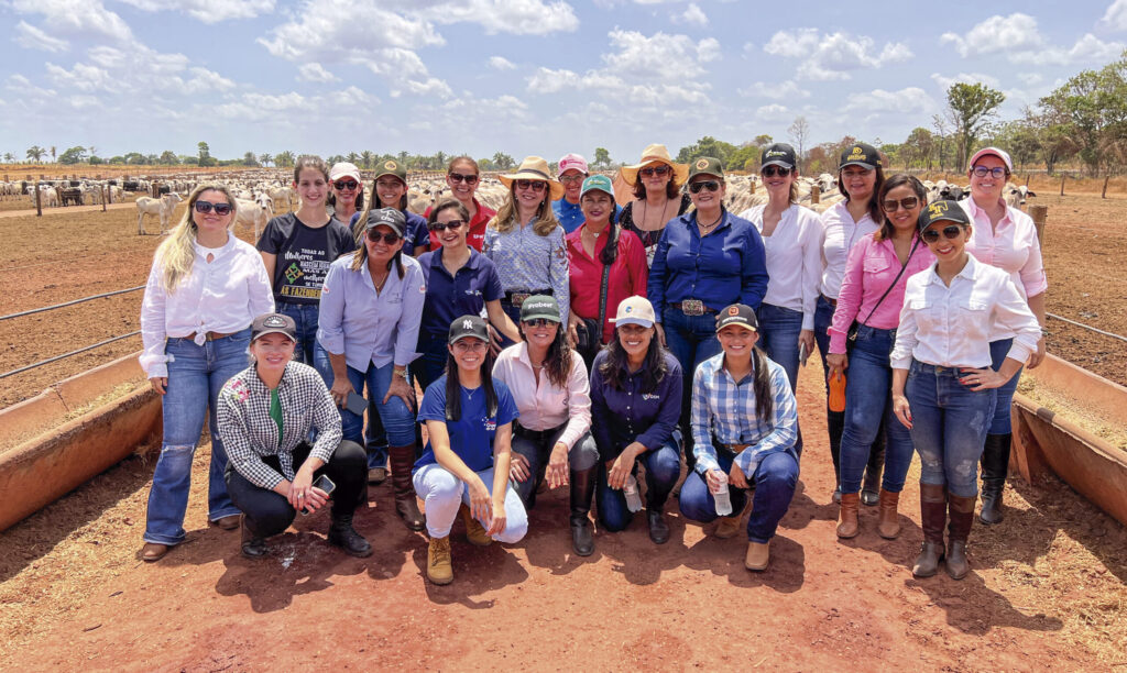 fazendeira sim senhor portal dbo