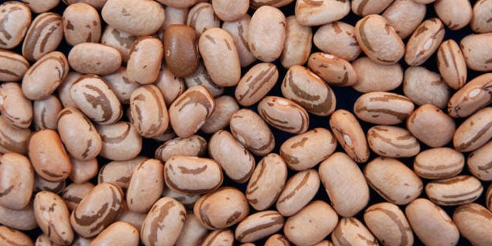 ibrafe produtores de feijao saindo do mercado 1