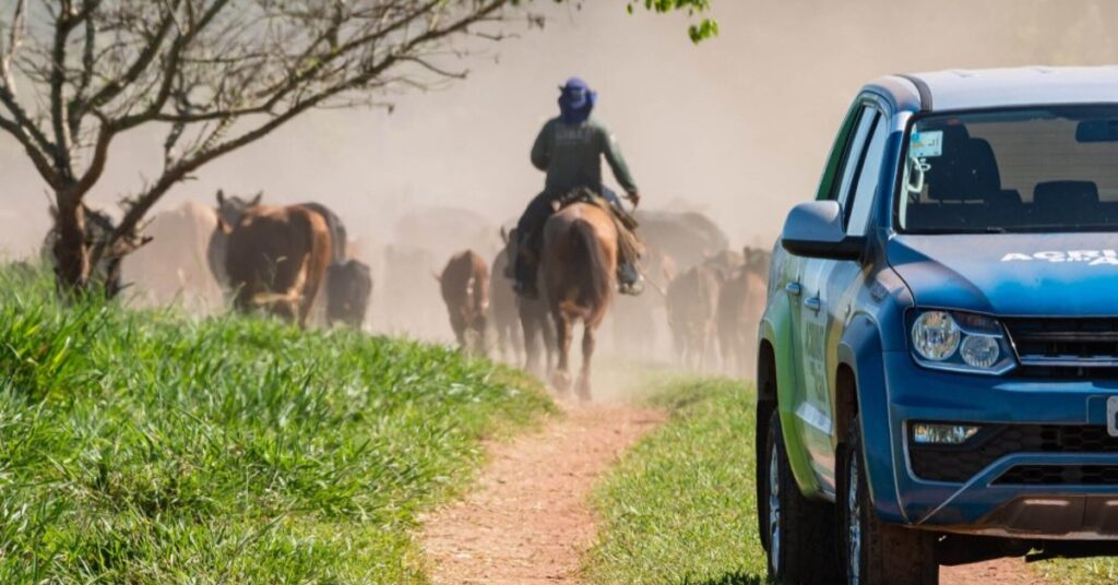 imac apresenta acoes para pecuaristas durante acrimat em acao portal dbo