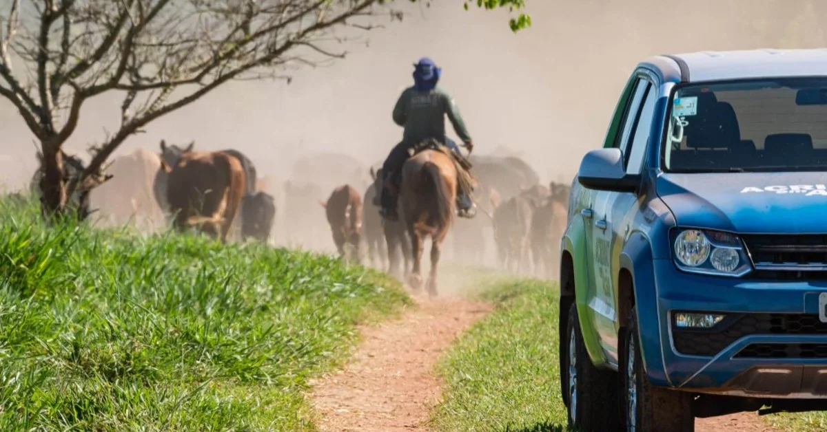 imac apresenta acoes para pecuaristas durante acrimat em acao portal dbo
