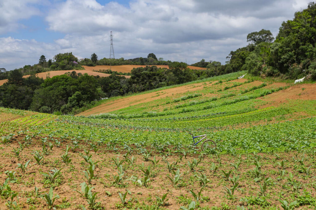 iniciativa paranaense de capacitacao gratuita em agricultura organica e premiada pelo governo federal