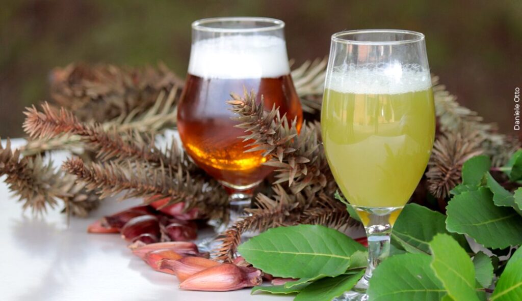 inscricoes abertas para curso que ensina a fazer cerveja artesanal com pinhao e erva mate