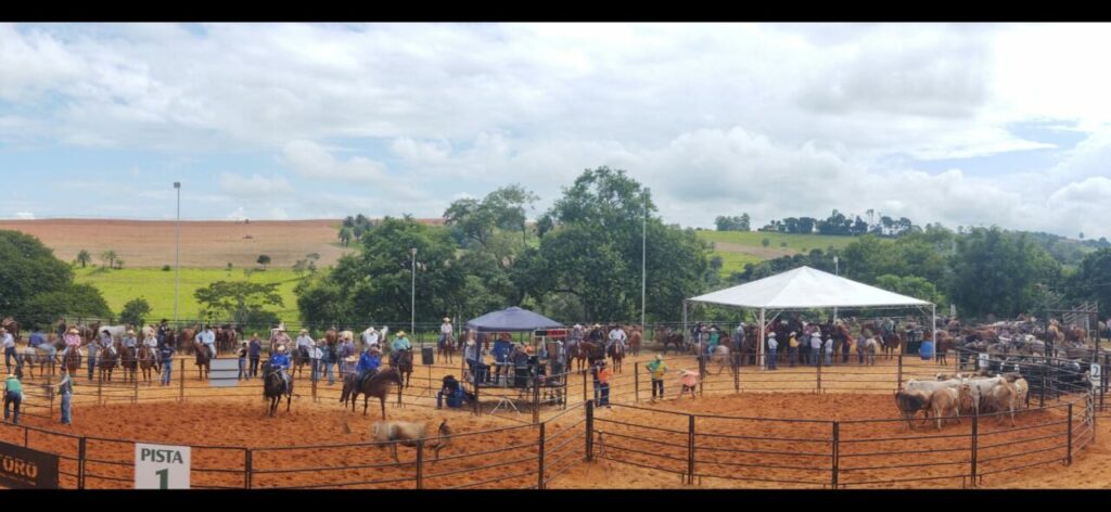 Interior de São Paulo recebe Segunda etapa da 1ª Copa CHBV de Ranch Sorting 2 interior de sao paulo recebe segunda etapa da 1a copa chbv de ranch sorting