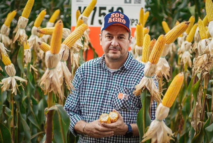 KWS Sementes lança híbridos de milho na Show Safra 9 kws sementes lanca hibridos de milho na show safra 1