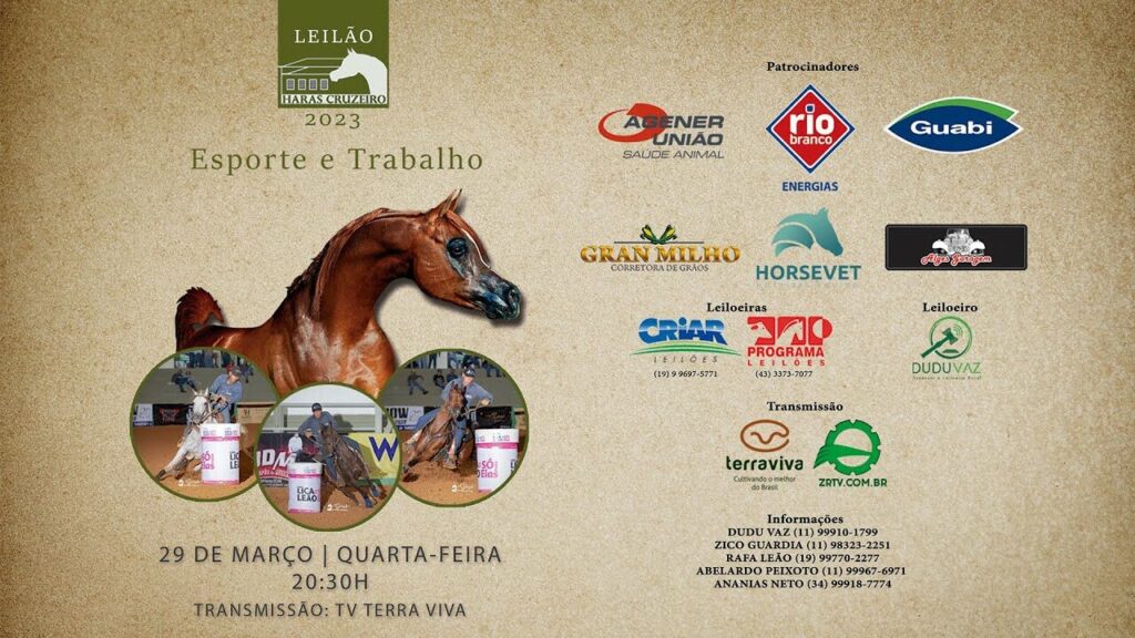 leilao haras cruzeiro esporte e trabalho 2023 1