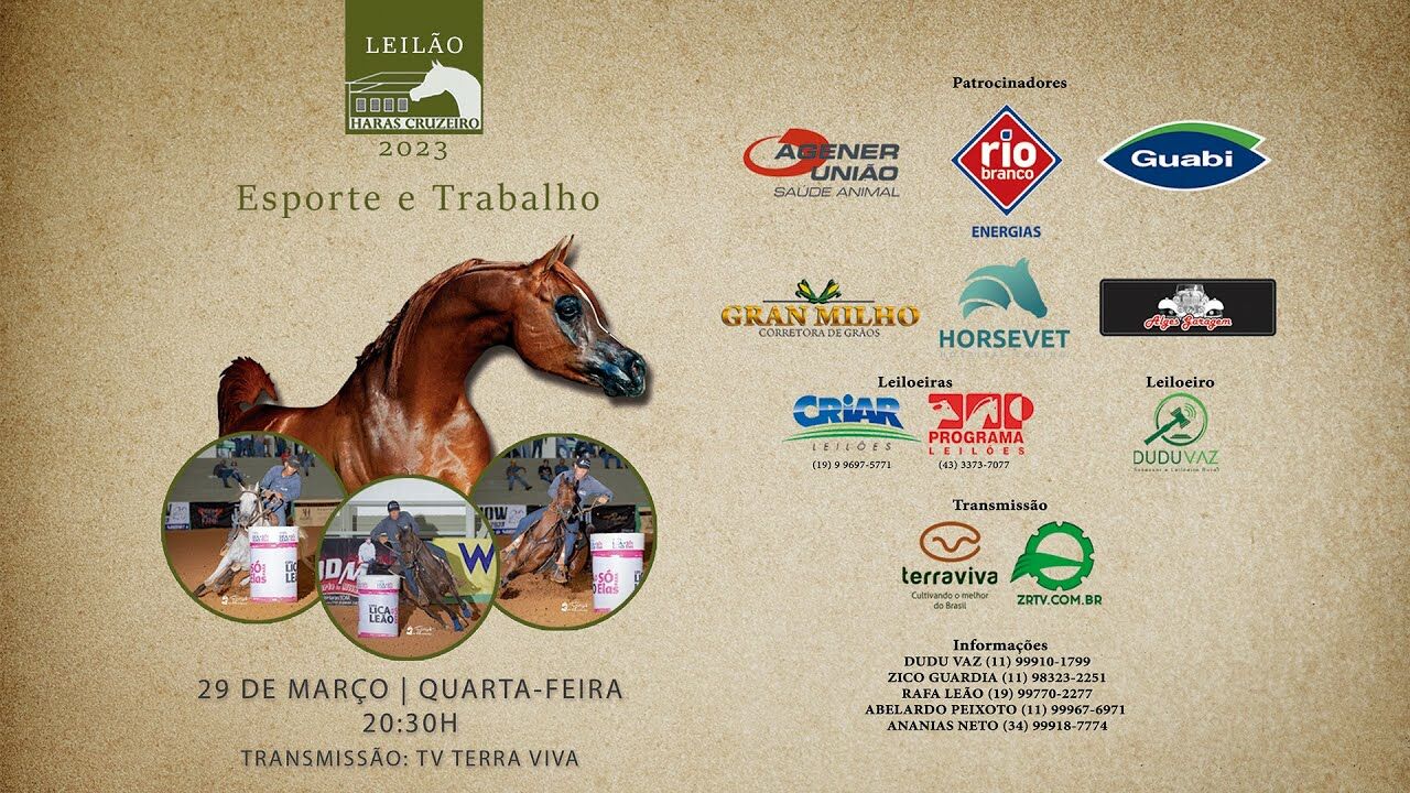 leilao haras cruzeiro esporte e trabalho 2023 1