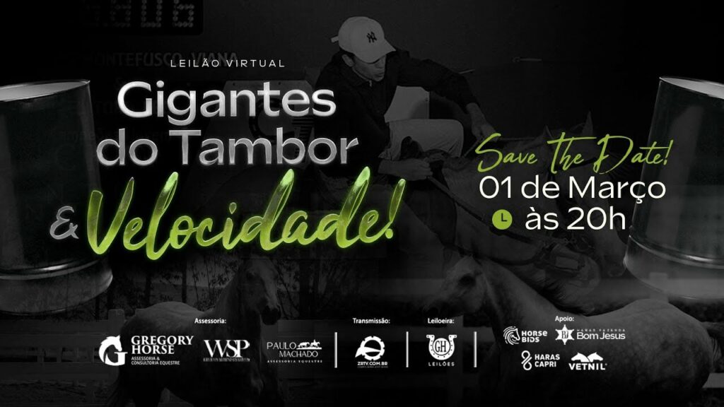 leilao virtual gigantes do tambor e velocidade 1