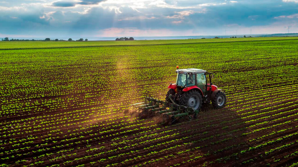 livros didaticos nao refletem a realidade do setor rural mostra fia usp