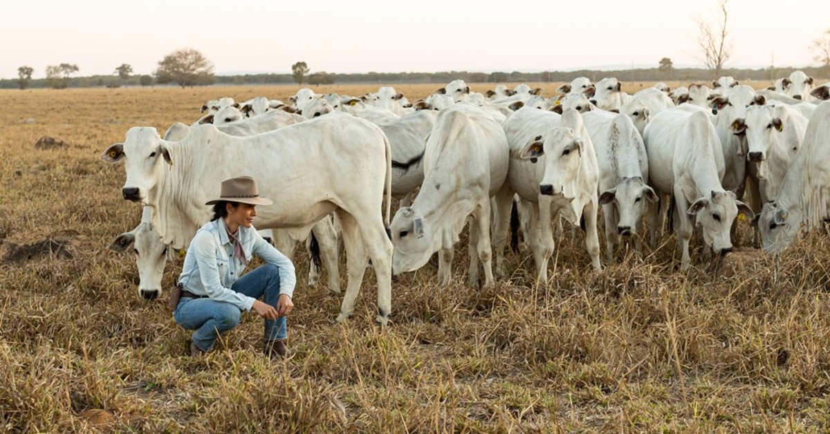mais de 100 palestras serao realizadas na tecnoshow comigo portal dbo