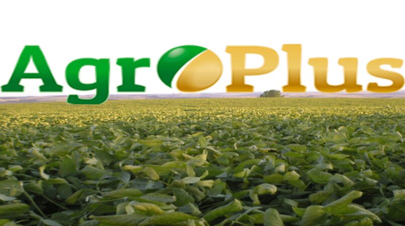 Manul de construções rurais ajudar produtor a atender legislação