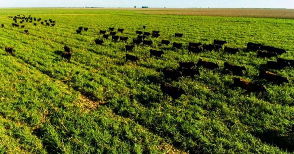 mapeamento de pastagens e tema de reuniao do gtps