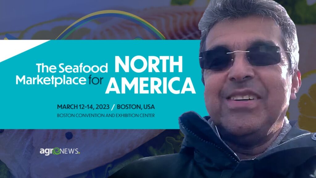 mercado do peixe 11 de marco 2023 direto de boston 1