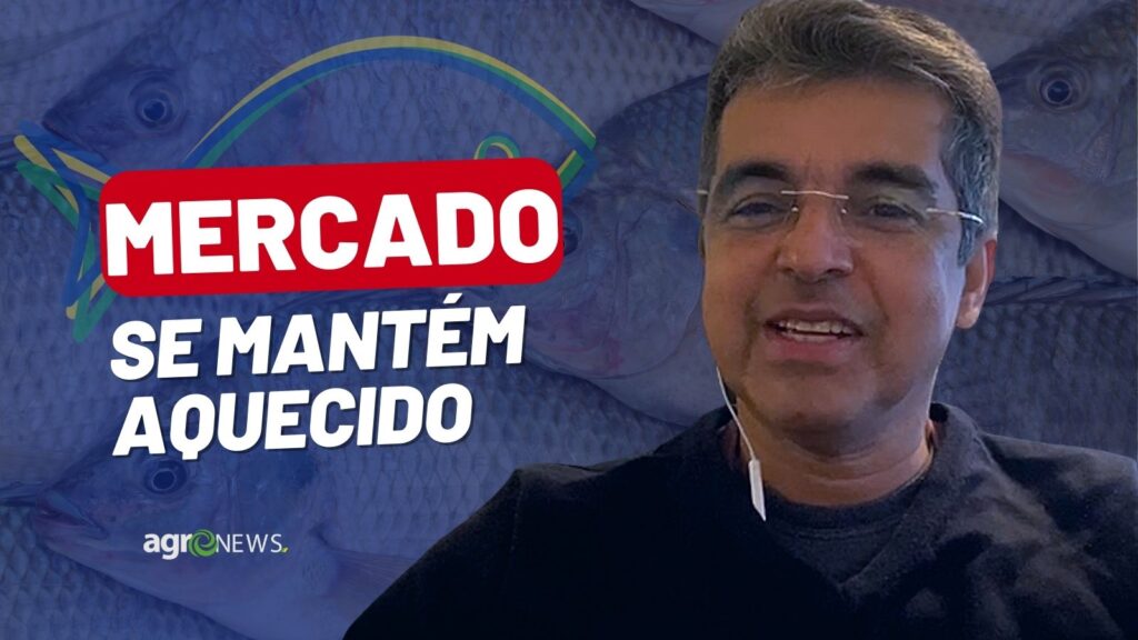 mercado do peixe 18 de marco 2023 indicadores apontam alta 1