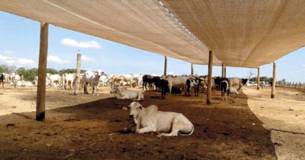 mercado segue em compasso de espera apostando no fim do embargo chines portal dbo