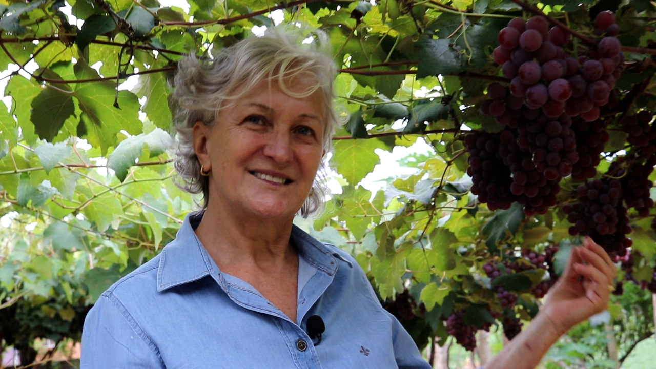 mulheres que buscam conhecimento trazem resultados extraordinarios para as propriedades rurais