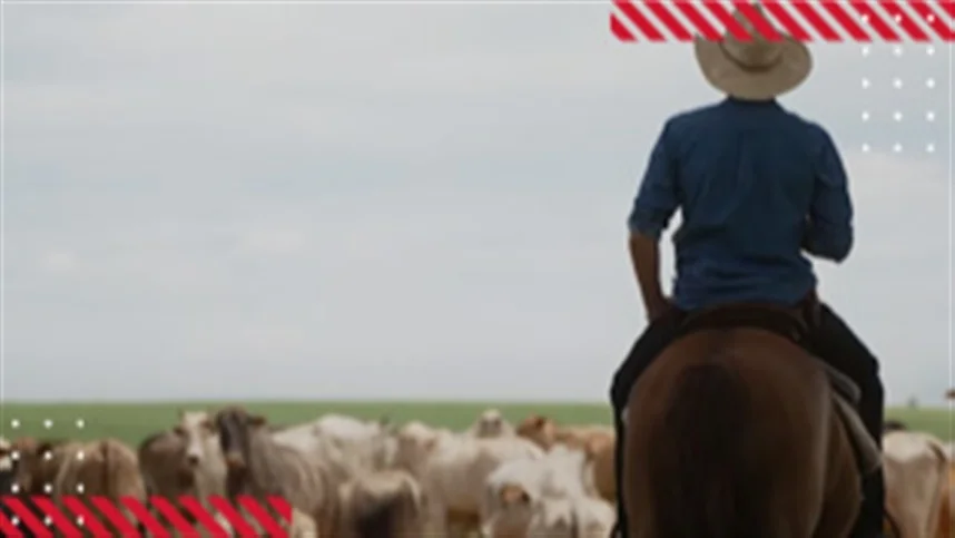 nova webserie ihara 1